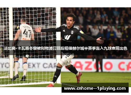 法比奥·卡瓦略冬窗被利物浦召回后租借赫尔城半赛季轰入九球表现出色 法比奥·卡瓦略冬窗被利物浦召回后租借赫尔城半赛季轰入九球表现出色